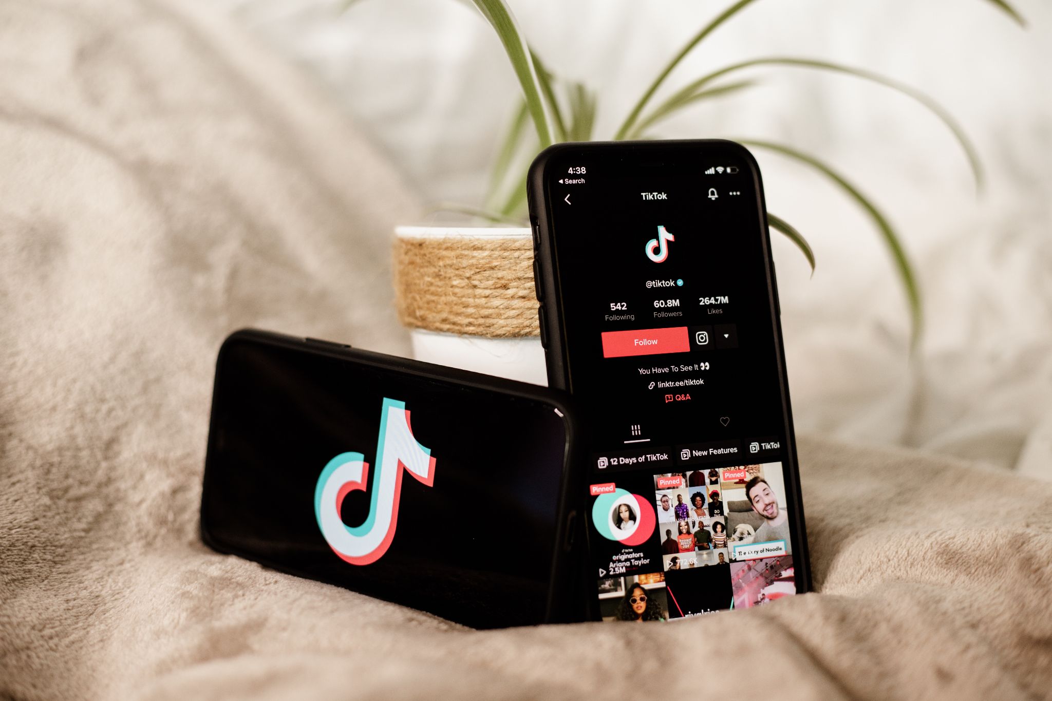 Le Phénomène BookTok : Quand la Littérature Prend Vie sur TikTok